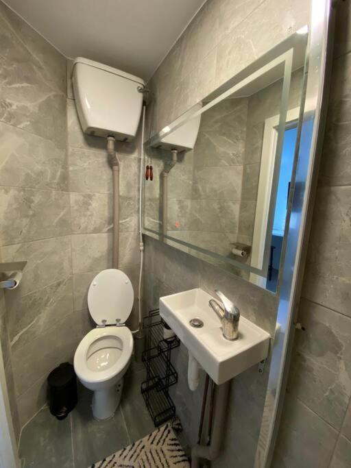 One Bedroom Putney Village Flat London Eksteriør billede