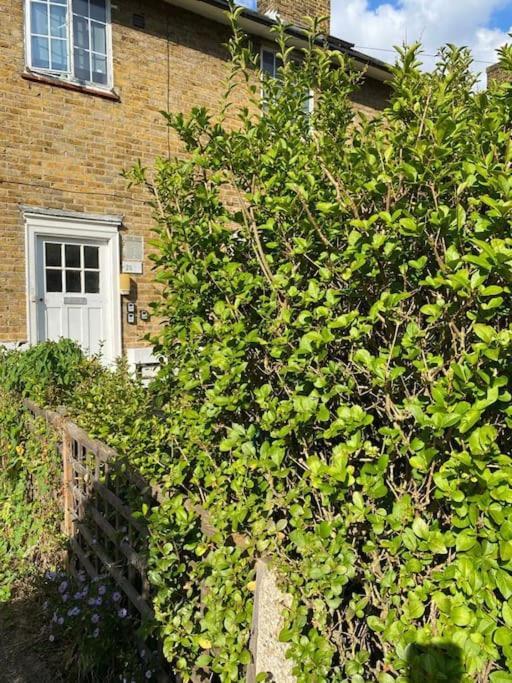 One Bedroom Putney Village Flat London Eksteriør billede