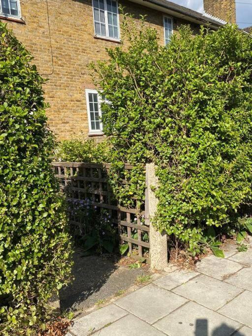 One Bedroom Putney Village Flat London Eksteriør billede