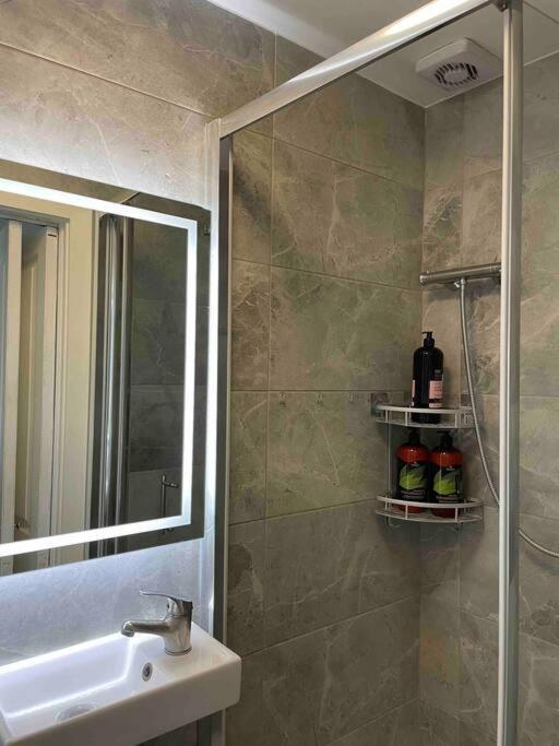 One Bedroom Putney Village Flat London Eksteriør billede
