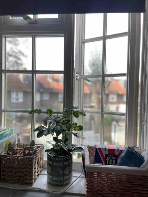 One Bedroom Putney Village Flat London Eksteriør billede