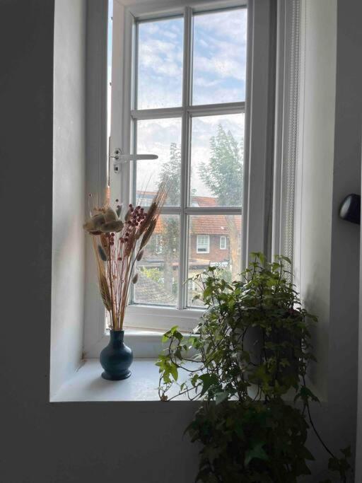 One Bedroom Putney Village Flat London Eksteriør billede