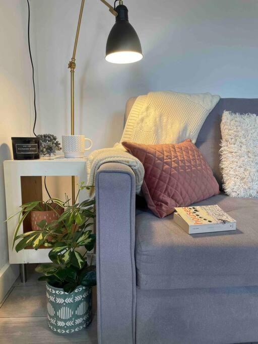 One Bedroom Putney Village Flat London Eksteriør billede